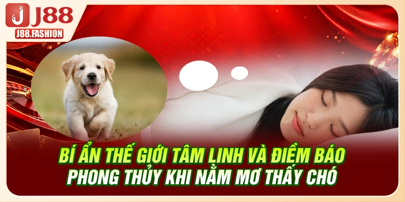Bí ẩn thế giới tâm linh và điềm báo phong thủy khi nằm mơ thấy chó 