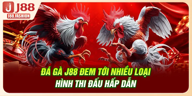 Đá gà J88 đem tới nhiều loại hình thi đấu hấp dẫn
