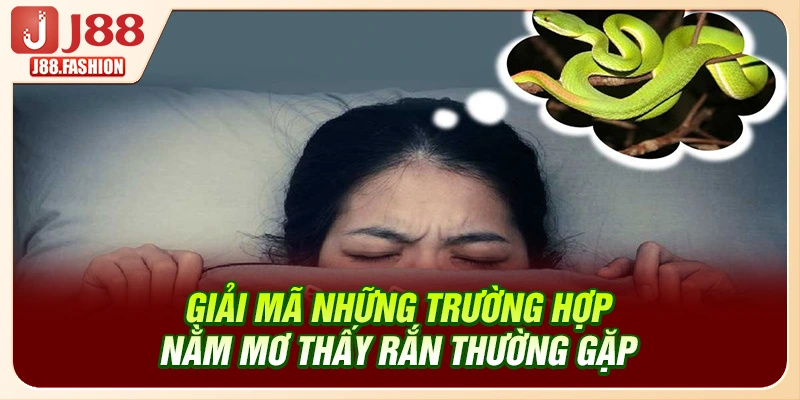 Giải mã những trường hợp nằm mơ thấy rắn thường gặp