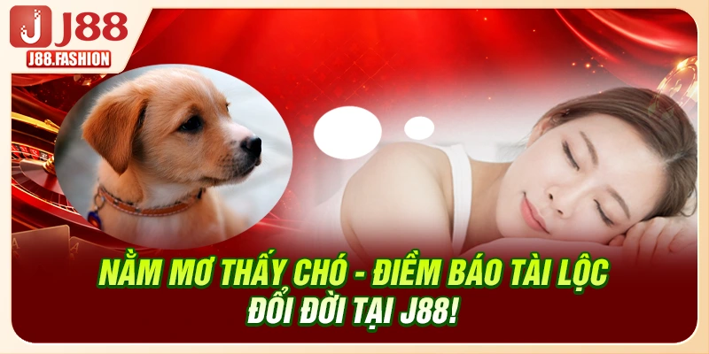 Nằm Mơ Thấy Chó - Điềm Báo Tài Lộc Đổi Đời Tại J88!
