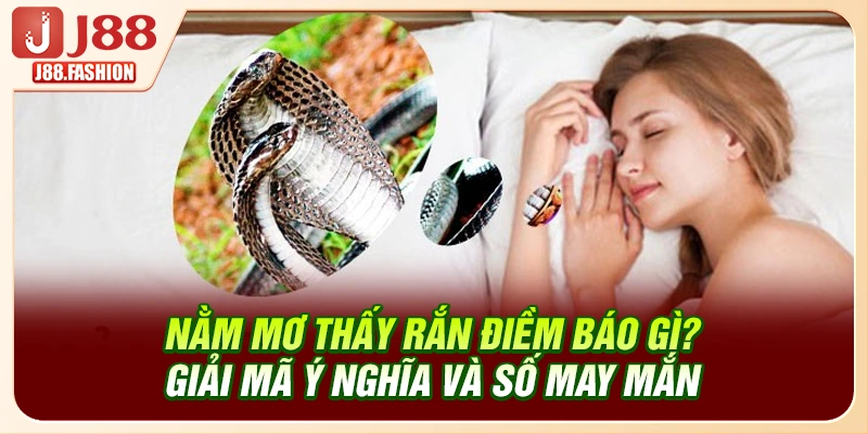 Nằm Mơ Thấy Rắn Điềm Báo Gì? Giải Mã Ý Nghĩa Và Số May Mắn