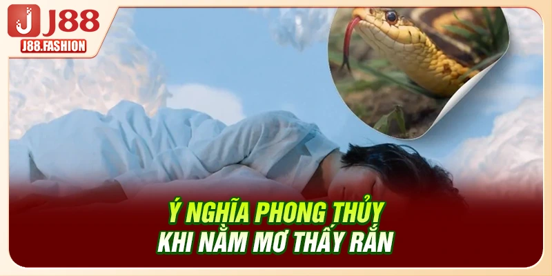 Ý nghĩa phong thủy khi nằm mơ thấy rắn